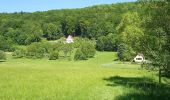 Randonnée A pied Pommelsbrunn - Hohenstadt Rundweg 5 - Eichhörnchen-Markierung - Photo 10