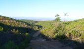 Tour Wandern Boutenac - BOUTENAC - Circuit des combes par la chapelle St Siméon - Photo 14