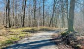 Percorso Marcia Compiègne - en forêt de Compiègne_47_autour des Beaux Monts - Photo 8