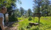 Trail Walking Eupen - WandHogeVenen 3 : Ternell: via de Hill naar Herzogenheuvel - Photo 3
