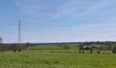 Tour Wandern Welkenrath - 20220411 - Grunhaut 7 Km - Photo 10