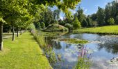 Randonnée Marche Seneffe - BE-Seneffe - Château de Seneffe - l'Ancien canal - Photo 20