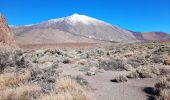 Trail On foot La Orotava - S-23 Los Regatones Negros - Photo 6