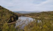Trail Walking Montauroux - St cassien / friaoud - Photo 5