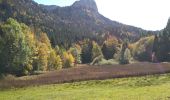 Excursión Senderismo Saint-Christophe-sur-Guiers - COL DE LA RUCHERE - Photo 2