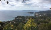 Percorso Cicloturismo Rayol-Canadel-sur-Mer - Rayol Canadel, Col du Canadel  - Photo 1