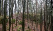 Tour Zu Fuß Neukirchen bei Sulzbach-Rosenberg - Rundwanderweg No.2 Neukirchen - Photo 6