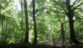 Trail Walking Houppeville - 20200905-Houppeville  - Photo 8