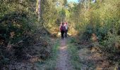 Tocht Stappen Saint-Rémy-de-Provence - 2024-03-16 Mac des peitoo - Photo 1