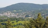 Tocht Stappen Unknown - Baden Baden - rando des 