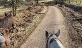 Trail Horseback riding Habay - Marbehan côté Thibessart - Photo 5