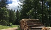 Tocht Stappen Les Plans - Forêt domaniale d'Escandorgue par Roqueredonde et l'Engayresque - Photo 13