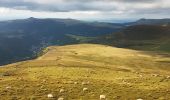 Trail Walking Mont-Dore - Puy de Sancy par les crêtes - Photo 3