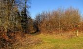 Tocht Stappen Retheuil - en forêt de Retz_76_dans les forêts de Retz et de Compiègne - Photo 12