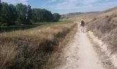 Trail Walking Iglesias - Castrojeriz moins 3 km - Photo 6