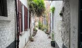 Trail Walking City of Brussels - Bxl FM - Photo 15