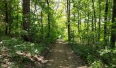 Tocht Stappen Seraing - Les bois du Val Saint-Lambert  - Photo 13