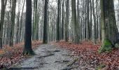 Excursión Senderismo Watermael-Boitsfort - Watermaal-Bosvoorde - Forêt de Soignes - Photo 1