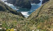 Tour Wandern Cléden-Cap-Sizun - Pointe du Van - Photo 4