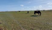 Excursión Senderismo Fleurus - Marche Napoléon  - Photo 19