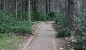 Tour Wandern Bonnieux - Forêt des Cèdres - Photo 1