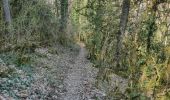 Trail Walking Baubigny - 25-03-2022 Baubigny - Saint Romain  - Photo 2
