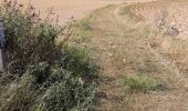 Percorso Marcia Engis - clermont-sous-huy  - Photo 6