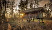 Tocht Te voet Mirow - Müritz-Nationalparkweg - Photo 10