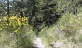 Percorso Marcia Châtillon-en-Diois - Les Cabanes de Châtillon (Glandasse) - Photo 3