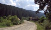 Trail On foot Tulgheș - sat Hagota - Șaua Vithovoș - Photo 2