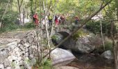 Trail Walking Aumessas - aumessas au col de mouzoules - Photo 5