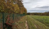 Tour Wandern Esvres - Esvres-sur-Indre - Veneuil Rouillers Hardellière - 24.5km 245m 5h20 (50mn) - 2024 11 23 - Photo 8