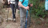 Trail Walking Montpeyroux - Le bary Arboras le Castelas - Photo 3
