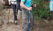 Tocht Stappen Montpeyroux - Le bary Arboras le Castelas - Photo 3