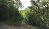 Trail On foot Mole Valley - The Box Hill Hike - Photo 3