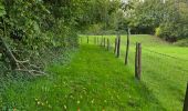 Tour Wandern Bueil-en-Touraine - Bueil-en-Touraine - Autour de la vallée du Long - Photo 8