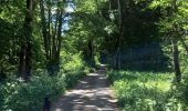 Tour Wandern Presles - Fontaine de Pétouze- Grotte des boeufs - Photo 9