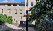 Trail Walking Forcalquier - 20190513. Tour de Forcalquier à pied.  - Photo 7