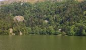 Trail Walking Metzeral - lac de schiessrothried par vallée de la wormsa  - Photo 14