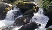 Randonnée Marche Thuès-Entre-Valls - gorges de caranca - Photo 3