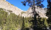 Percorso Marcia Vars - Cabane de Chalances. Val d'Escreins . 29/09/19 - Photo 3