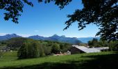 Tour Nordic Walking Saint-Nizier-du-Moucherotte - Parcours avec vue en 8 sur le plateau Charvet en Marche Nordique - Photo 1