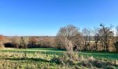Tour Wandern Braives - Tracé - Photo 4