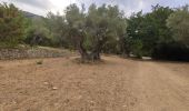 Randonnée Marche Le Revest-les-Eaux - Boucle: La ripelle - Source de la ripelle - Le Chateau de Tourris - Les grottes de sable - La carrière aux fourmis - Les puits renovés de M. Lambicchi - Les ruines des Olivières - La ferme de la Touravelle - à Le Revest-les-Eaux - Photo 1