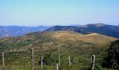 Excursión A pie Ferriere - Mareto - Percorso 151 - Photo 1