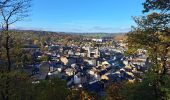 Tour Zu Fuß Spa - spa! Der Spaziergang der Aussichtspunkte  - Photo 1