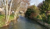 Tour Wandern Criel-sur-Mer - Criel-sur-Mer  - Photo 2