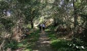 Trail Walking Odars - 23 juillet - Photo 2