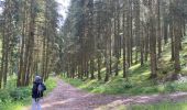 Trail Walking Saint Vith - McKennenbah - Photo 8