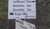 Tocht Te voet Gomadingen - Honau-Lichtenstein - Photo 9